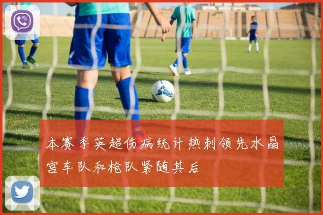 本赛季英超伤病统计热刺领先水晶宫车队和枪队紧随其后