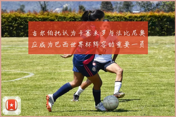 吉尔伯托认为卡塞米罗与法比尼奥应成为巴西世界杯阵容的重要一员