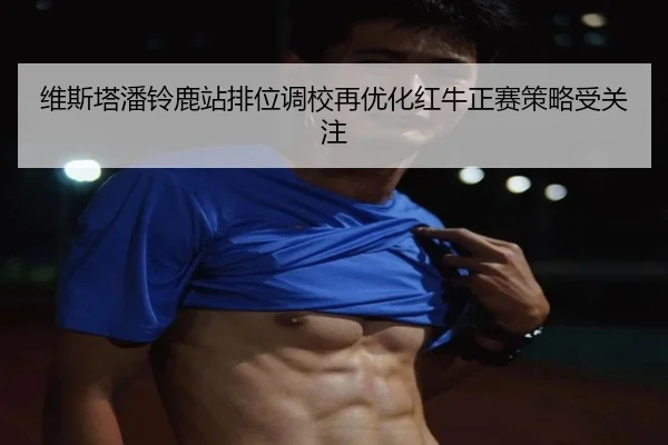 维斯塔潘铃鹿站排位调校再优化红牛正赛策略受关注